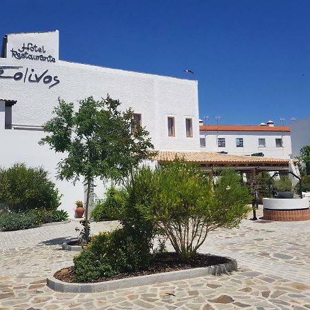 Hotel Entreolivos El Pedroso Zewnętrze zdjęcie