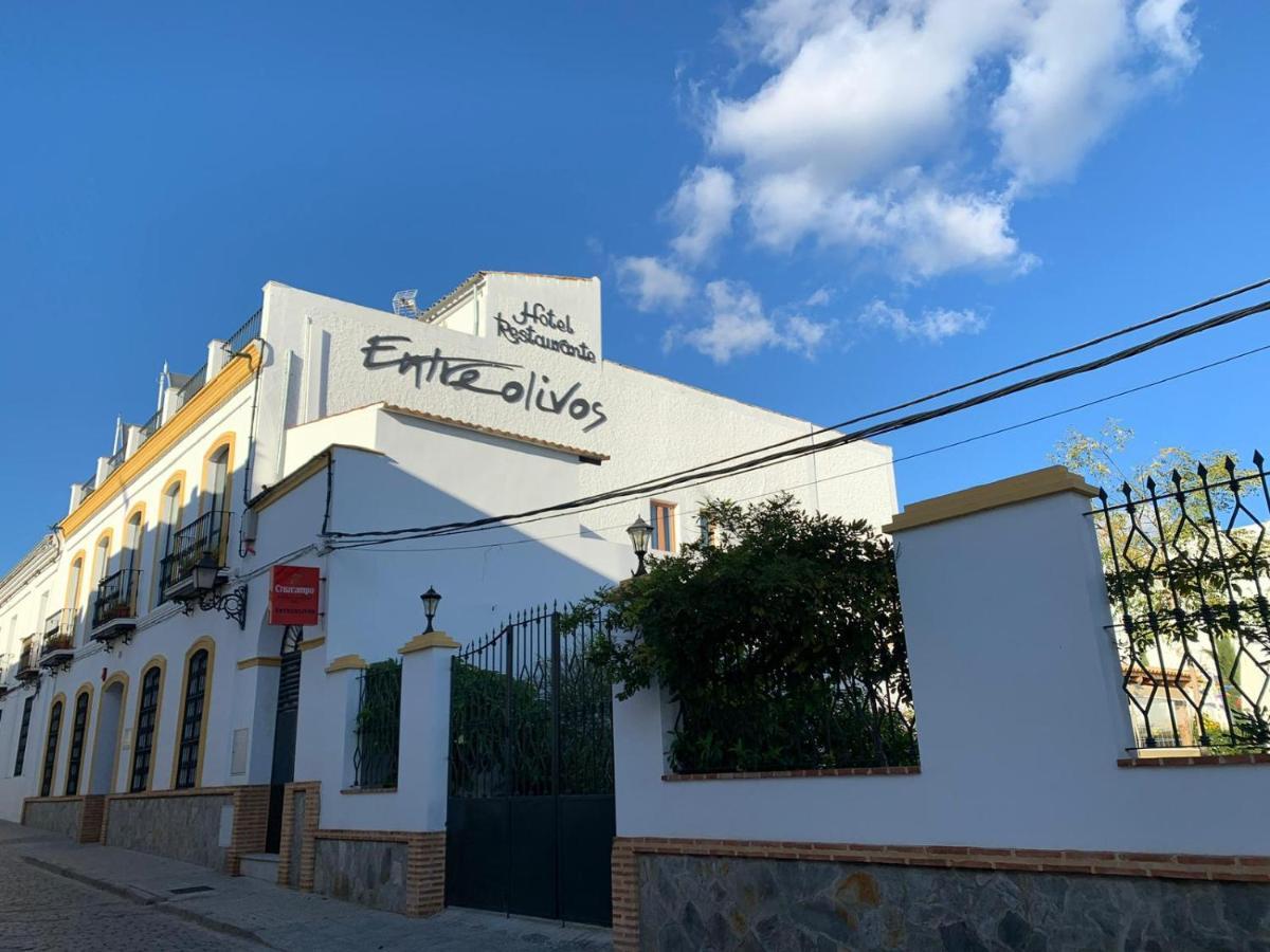 Hotel Entreolivos El Pedroso Zewnętrze zdjęcie