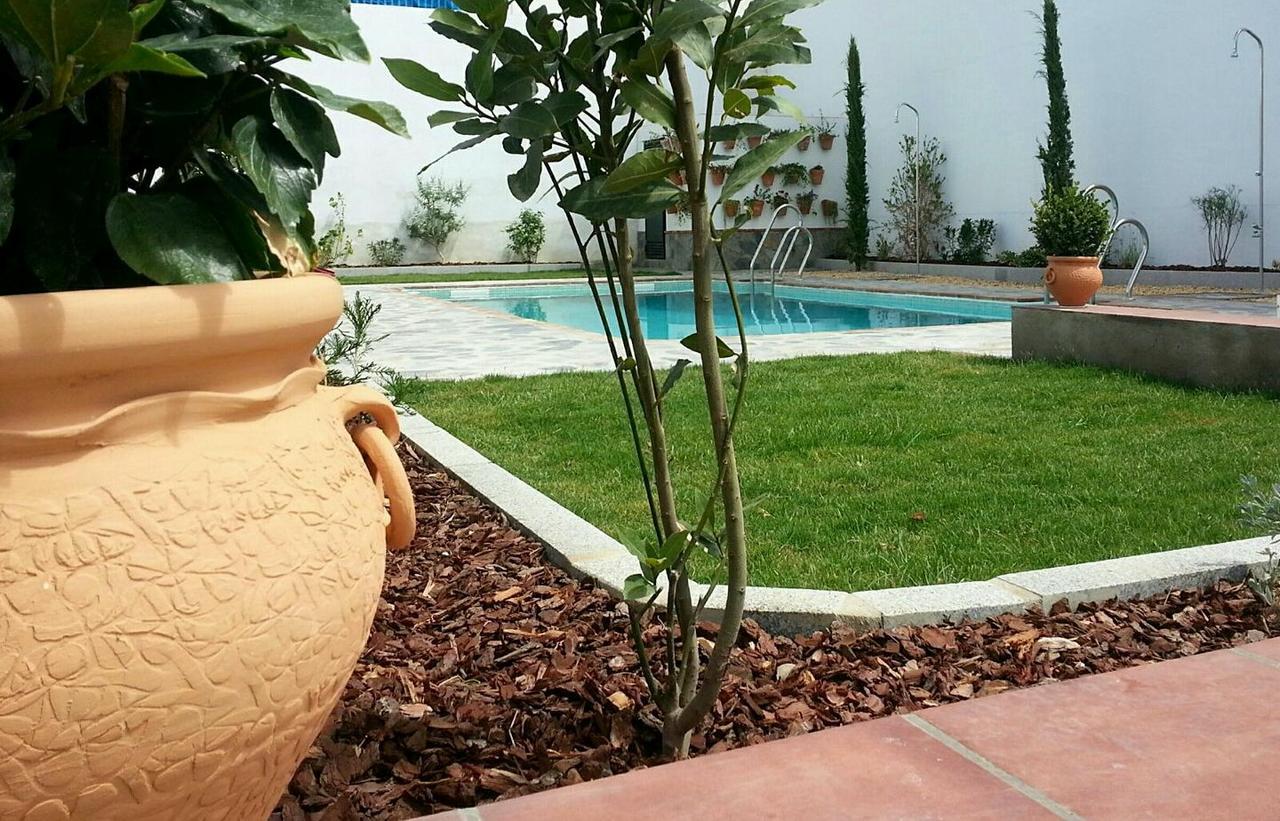 Hotel Entreolivos El Pedroso Zewnętrze zdjęcie