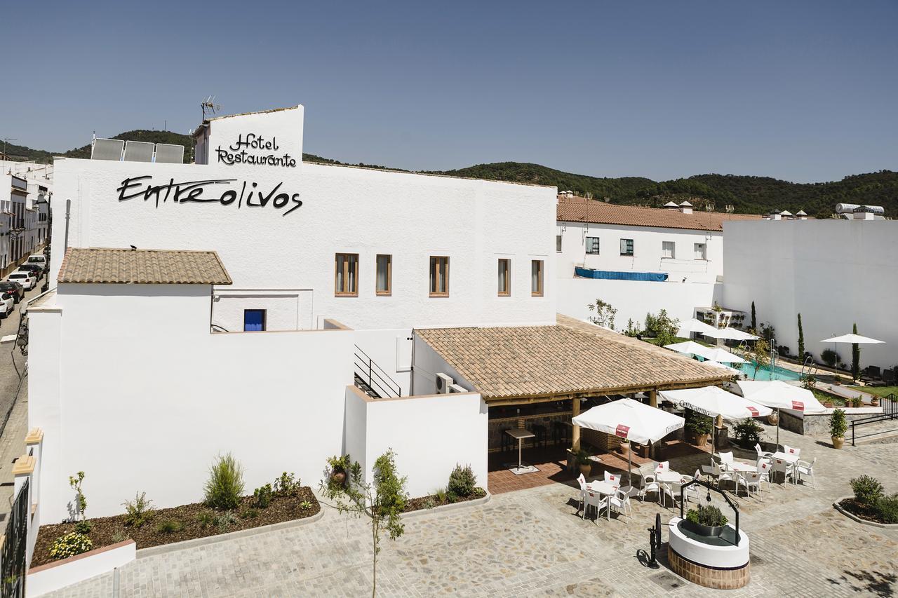 Hotel Entreolivos El Pedroso Zewnętrze zdjęcie