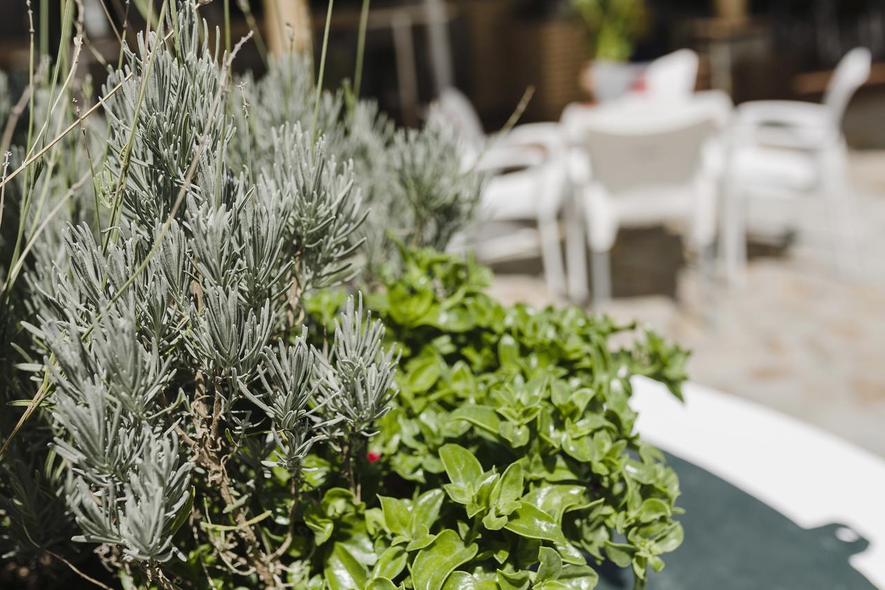 Hotel Entreolivos El Pedroso Zewnętrze zdjęcie